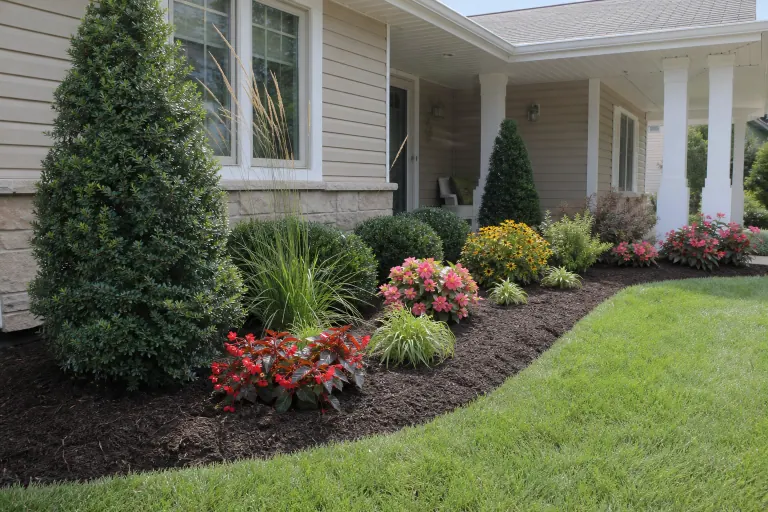 New foundation planting bed with shrubs, flowers, and mulch