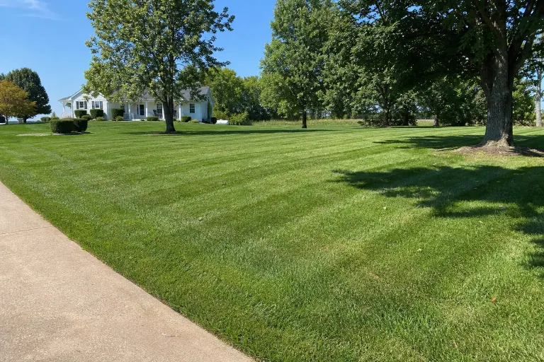 Large mowed lawn with clean stripes around mature trees