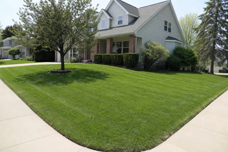 Freshly mowed corner front yard with striped finish along both sidewalks