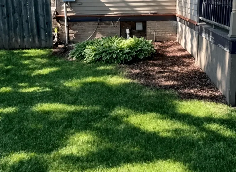 Backyard before raised paver patio installation