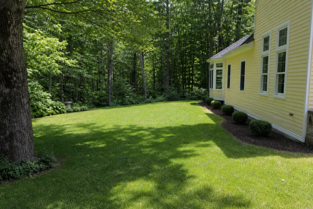 Backyard lawn before koi pond and waterfall installation