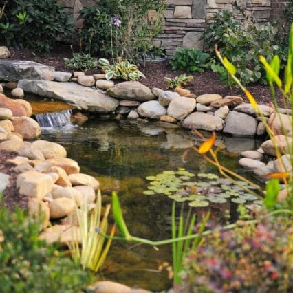 Pond in Cedar Falls, Iowa, creating a peaceful water feature within the landscape.
